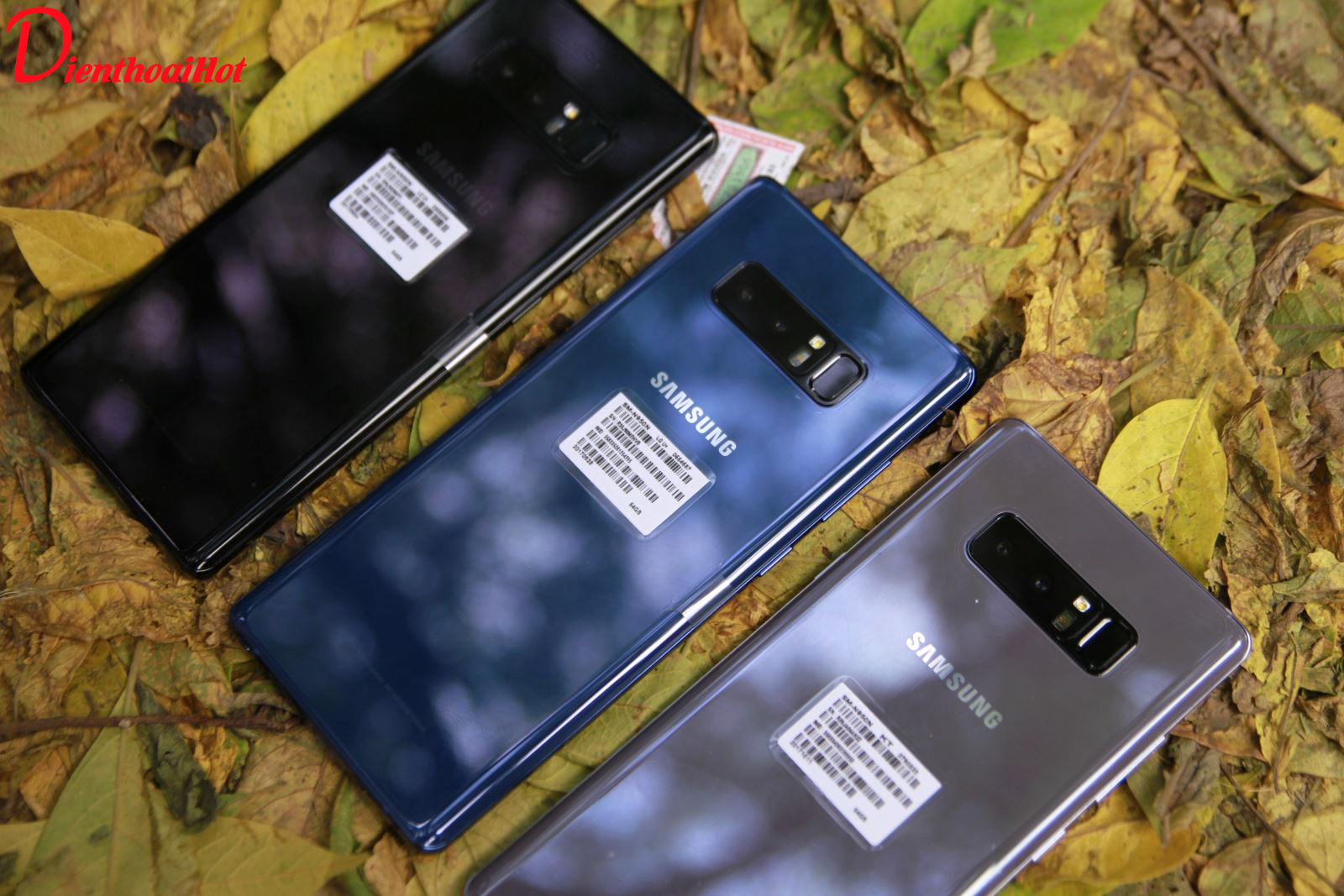 Galaxy Note 8 xách tay giá siêu tốt tại Dienthoaihot