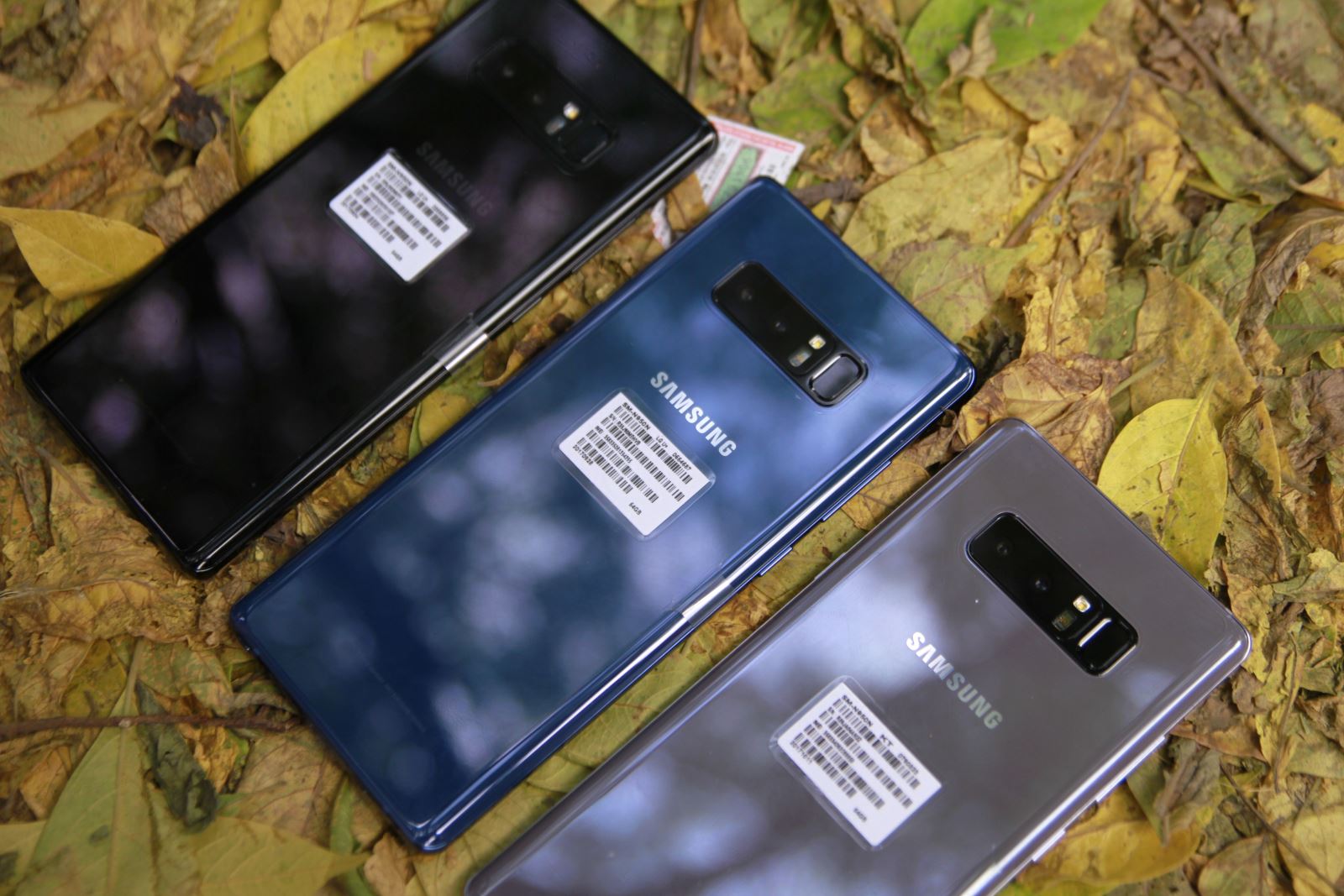 Samsung Galaxy Note 8 xách tay Hàn Quốc với các màu sắc sặc sỡ